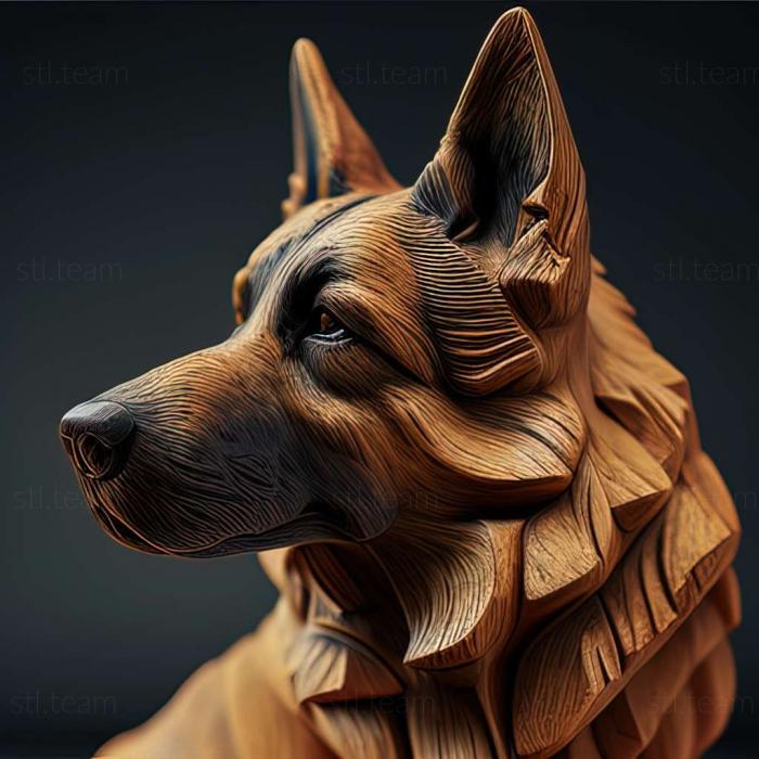 German Shepherd dog